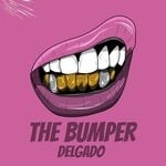 cover: Delgado - The Bumper