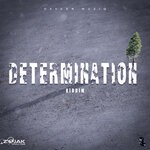 cover: Oxygen Muziq - Determination (Instrumental)