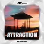 cover: Juno D - Attraction