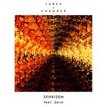 cover: Deva - Senkisem