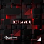 cover: Dj Ananta - Cest La Vie JJ