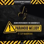 cover: Dlomo Entertainment|Djy Mabontsho - Paranoid Melody