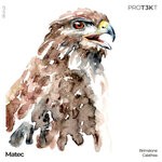 cover: Matec - Brimstone/Calathea