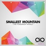 cover: Smallest Mountain - The Forsaken Whale