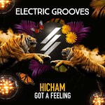 cover: Hicham - Got A Feeling