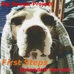 cover: Big Beagle Projekt - First Steps (Extended Version)