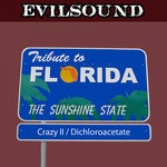 cover: EvilSound - Tribute To Florida