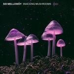 cover: Sid Mellowdy - Snacking Mushrooms