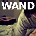 cover: Wooden Wand - Hard Knox