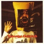 cover: Teenage Fanclub - Deep Fried Fanclub (Explicit)