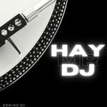 cover: Domino Dj - Hay Mr DJ