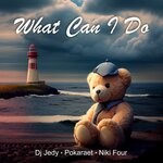 cover: Dj Jedy|Pokaraet|Niki Four - What Can I Do