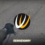 cover: Sergeigray - What's Next