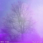 cover: Des Vies - Tree Of Life