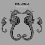 cover: The Chills - Warm Waveform