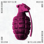 cover: Mission Of Burma|Wild Flag - What They Tell Me / Boom