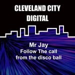 cover: Mr Jay - Follow The Call From The Disco Ball