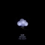 cover: Igor Eryomin - The Night