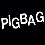 cover: Pigbag - Papa's Got A Brand New Pigbag