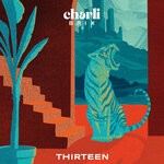 cover: Charli Brix|Qzb - Thirteen