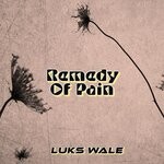 cover: Luks Wale - Remedy Of Pain