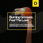 cover: Burning Grooves - Feel The Love