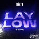 cover: Tiesto - Lay Low (Tiesto VIP Mix)