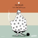 cover: Max Kaluza - Into The Unknown