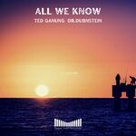 cover: Dr.dubnstein|Ted Ganung - All We Know