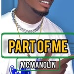 cover: Mc Manolin - Part Of Me