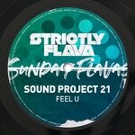 cover: Sound Project 21 - Feel U