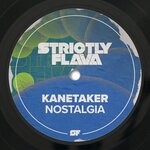 cover: Kanetaker - Nostalgia