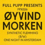 cover: Oyvind Morken - Synthetic Flemming