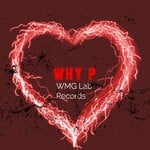 cover: Wmg Lab Records - Why?