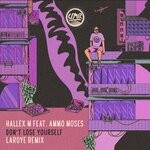 cover: Ammo Moses|Hallex M - Don't Lose Yourself