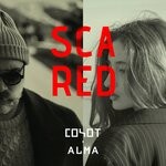 cover: Alma|Coyot - Scared