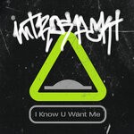 cover: Sage Introspekt - I Know U Want Me