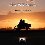 cover: Hamidshax - Love Between Us