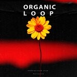 cover: Underground Loop - Pervasive