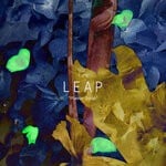 cover: The Leap - Plastic Soup