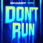 cover: Shaggy|Skinny Fabulous - Don't Run