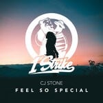 cover: Cj Stone - Feel So Special