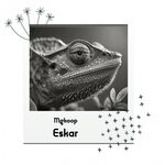 cover: Mgkoop - Eskar