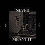 cover: Nini Heart - Never Meant It