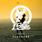 cover: Bk Duke - Pleasure