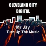 cover: Mr Jay - Turn Up The Music