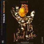 cover: Theslix - Need Love