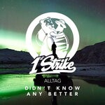 cover: Alltag - Didn't Know Any Better (Explicit)