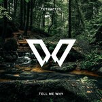 cover: Tetractys - Tell Me Why (Extended Mix)