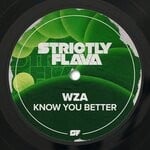 cover: WZA - Know You Better